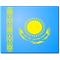 Aleinik/Dmitriyev flag